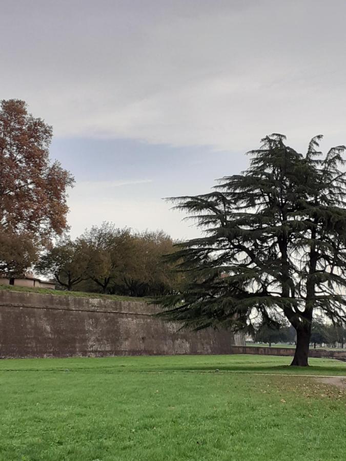 Dimora Altemura Lucca Exteriör bild